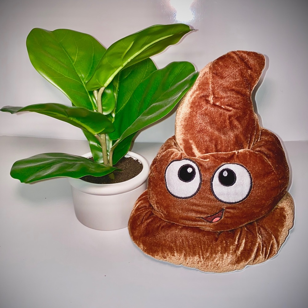 Poop 💩 emoji hat